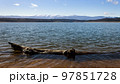 View of the Barcena reservoir with the Montes Aquilanos mountain range at background and a driftwood at front. El Bierzo, Castile and Leon, Spain. 97851728