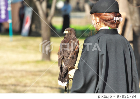 鷹と鷹匠 鷹と鷹匠 97851734