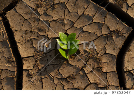 Drought impact and climate change 97852047