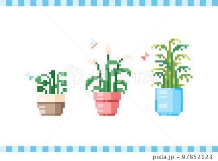 Pixel art house plants and flowers set. Collection of 8 bit retro icons of decorative home flowers in pots. Floral set of mosaic modern pixel art vector illustrations. Pixel art house plants and flowers set. Collection of 8 bit retro icons of decorative home flowers in pots. Floral set of mosaic modern pixel art vector illustrations. 97852123