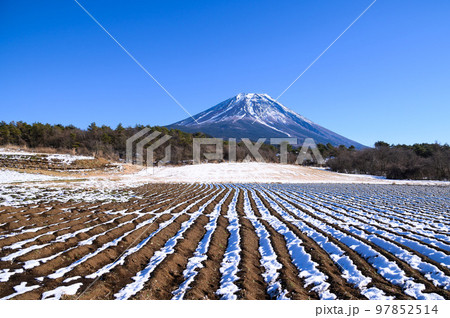 富士ヶ嶺の田園地帯と富士山の絶景・冬景色 97852514