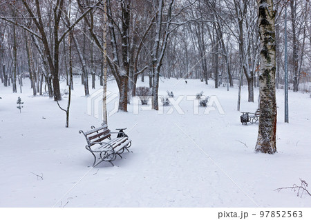 Snow covered city park on a winter day. 97852563