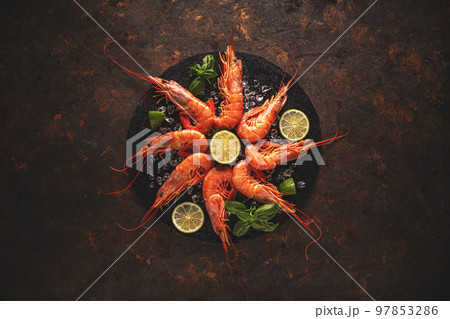 Sea food concept Sea food concept 97853286