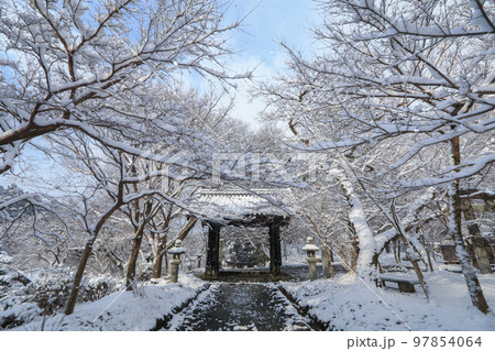 雪の秋月 97854064