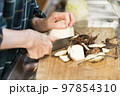 里芋の親芋を切るシニア女性 97854310