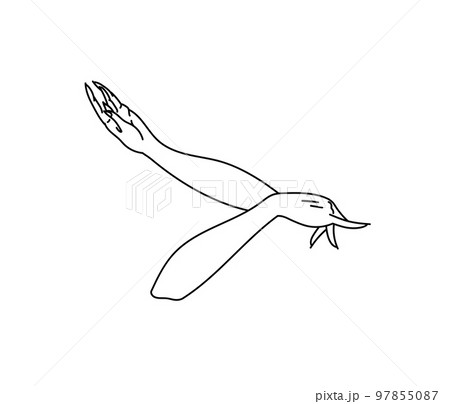 Vector line art illustration of woman hands in traditional folk dance of Uyghurs people 97855087