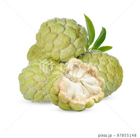 custard apple with leaves isolated on white background 97855148