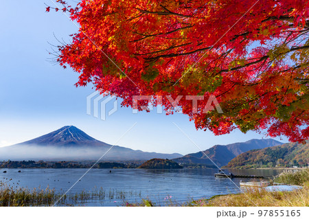 山梨県富士河口湖町　紅葉シーズンの河口湖 97855165