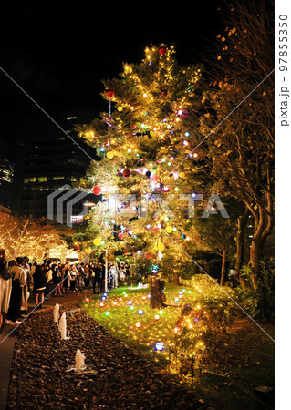 東京ミッドタウン・イルミネーション 東京ミッドタウン・イルミネーション 97855350