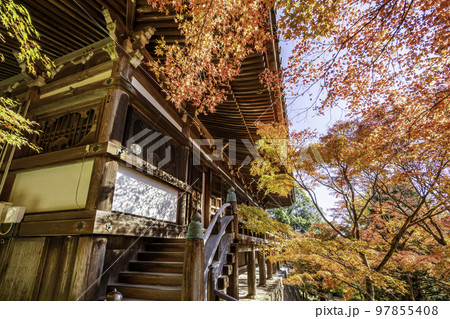 播州清水寺　大講堂　兵庫県加東市 97855408