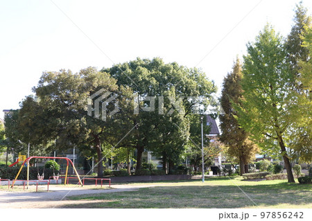 大阪市城東区にある「南今福公園」 大阪市城東区にある「南今福公園」 97856242