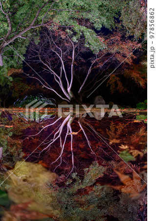 紅葉の庭園　三十路苑　長崎県雲仙市 97856862