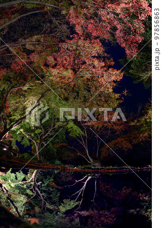 紅葉の庭園 三十路苑 長崎県雲仙市 紅葉の庭園 三十路苑 長崎県雲仙市 97856863