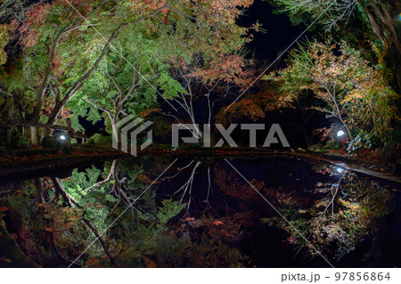 紅葉の庭園 三十路苑 長崎県雲仙市 紅葉の庭園 三十路苑 長崎県雲仙市 97856864