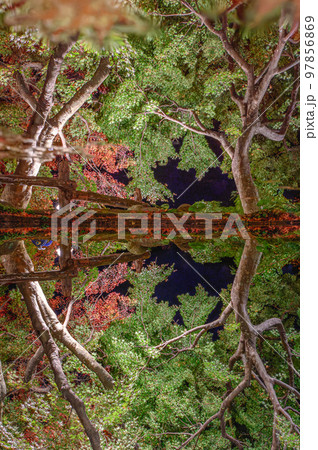紅葉の庭園　三十路苑　長崎県雲仙市 97856869