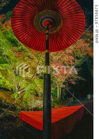 紅葉の庭園　三十路苑　長崎県雲仙市 97856873