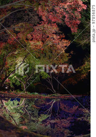 紅葉の庭園　三十路苑　長崎県雲仙市 97856875