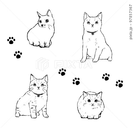 猫の線画スケッチ風ベクターイラストセット 97857367