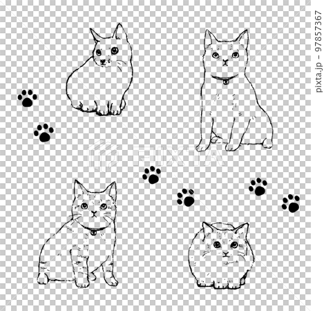 猫の線画スケッチ風ベクターイラストセット 97857367
