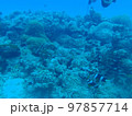 小さめのサンゴ礁 97857714