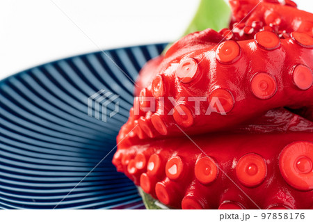 酢だこ 酢だこ 97858176