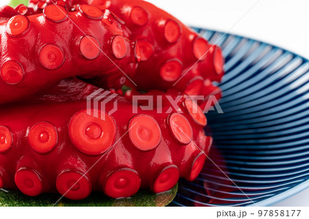 酢だこ 酢だこ 97858177