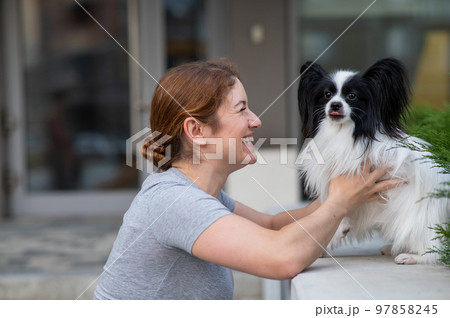 Caucasian red-haired woman cuddling with pappilion dog outdoors. Black and white continental spaniel. Caucasian red-haired woman cuddling with pappilion dog outdoors. Black and white continental spaniel. 97858245