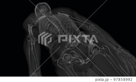 Human skeleton anatomy for medical concept Xray 3D illustration 97858992