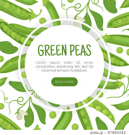 Green peas landing page template. Italian cuisine food, dry macaroni of various shapes seamless pattern web banner, website cartoon vector 97860283