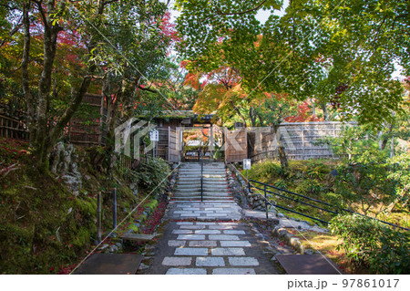 化野念仏寺の紅葉(京都) 化野念仏寺の紅葉(京都) 97861017
