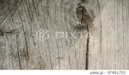 Close up of knotted dead tree trunk Close up of knotted dead tree trunk 97861703