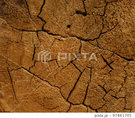 beautiful cut tree trunk with annual rings and cracks. wood texture background beautiful cut tree trunk with annual rings and cracks. wood texture background 97861705
