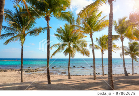 Beautiful Caribbean beach with coconut palm trees on a sunny day. Beautiful Caribbean beach with coconut palm trees on a sunny day. 97862678
