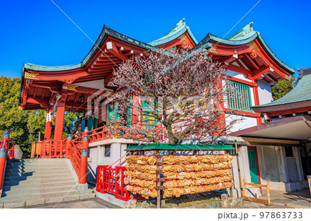 東京 江東区 亀戸天神社 梅まつり 東京 江東区 亀戸天神社 梅まつり 97863733