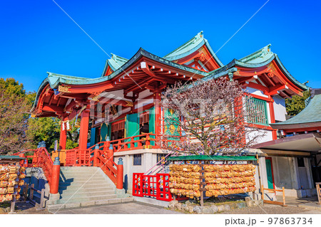 東京 江東区 亀戸天神社 梅まつり 東京 江東区 亀戸天神社 梅まつり 97863734