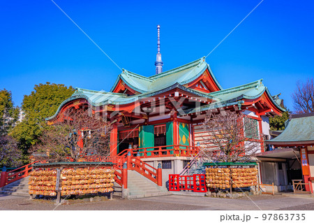東京　江東区　亀戸天神社　梅まつり 97863735