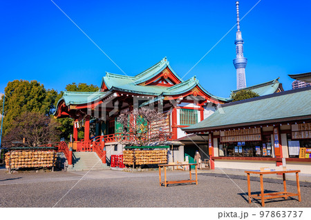 東京　江東区　亀戸天神社　梅まつり 97863737