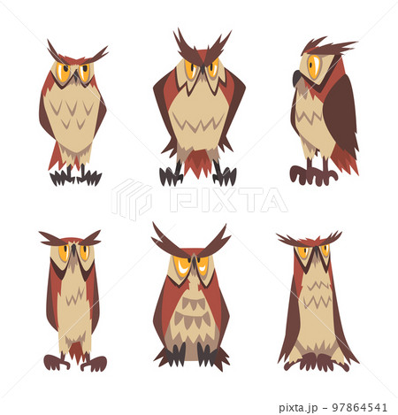 Emotional owls set. Brown owl characters with funny face expression cartoon vector illustration 97864541