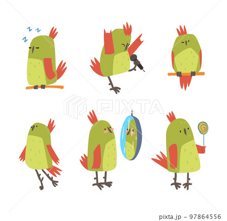 Set of funny parrot birds. Cute bright parrot pet character cartoon vector illustration Set of funny parrot birds. Cute bright parrot pet character cartoon vector illustration 97864556