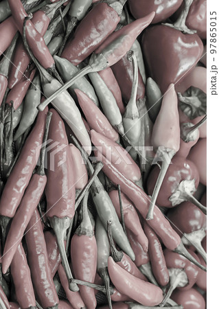 pattern tinted chili peppers hot mini pod vertical background pattern tinted chili peppers hot mini pod vertical background 97865015