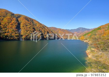 山梨県山梨市三富　広瀬ダム湖の周りを囲む湖畔の紅葉 97865352