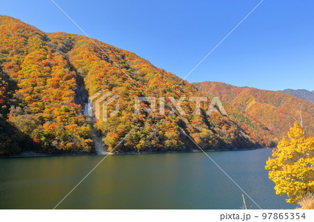 山梨県山梨市三富　広瀬ダム湖の周りを囲む湖畔の紅葉 97865354