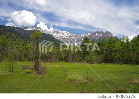 新緑の上高地【田代湿原より穂高連峰を望む】 新緑の上高地【田代湿原より穂高連峰を望む】 97865378