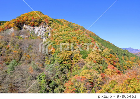 山梨県山梨市三富　広瀬ダム湖付近笛吹川沿いの山々の紅葉 97865463