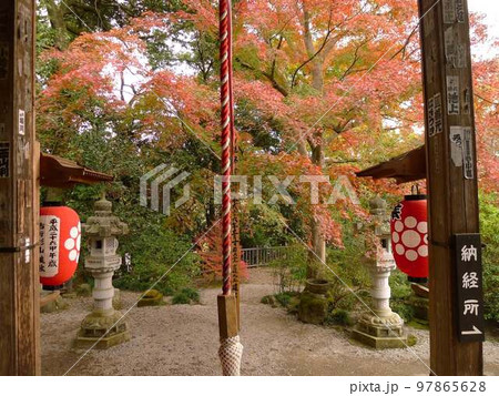 岩ノ上堂 (埼玉県秩父市) 岩ノ上堂 (埼玉県秩父市) 97865628