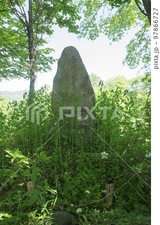 九戸城趾 九戸城趾 97866727