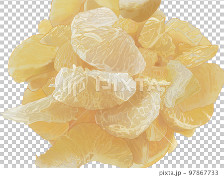 去皮半白玉清新可口手繪插畫 去皮半白玉清新可口手繪插畫 97867733