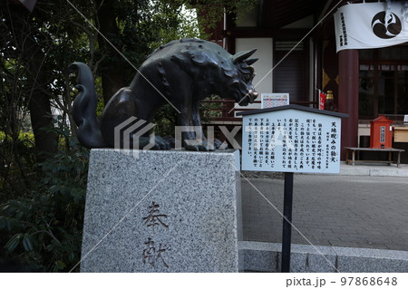 川崎 稲毛神社の狛犬 川崎 稲毛神社の狛犬 97868648