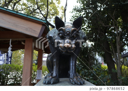 川崎　稲毛神社の狛犬 97868652