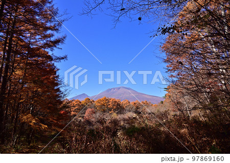 紅葉の浅間山 97869160